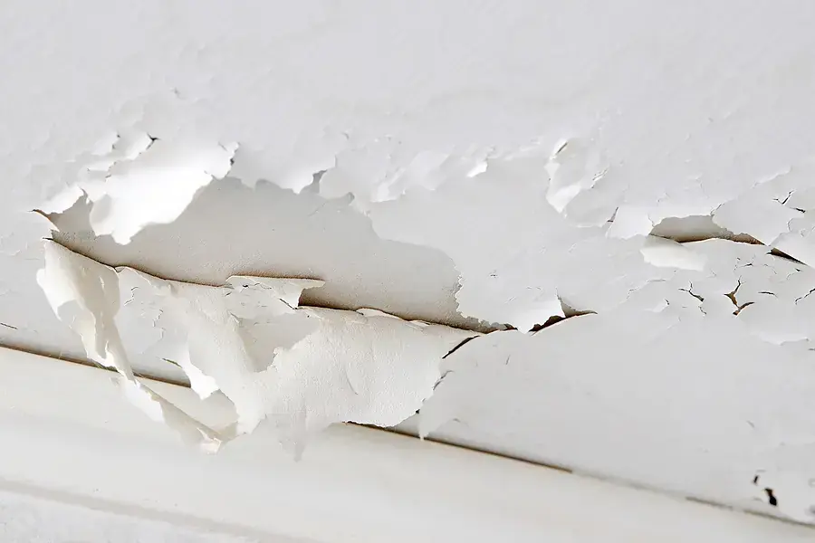 Ceiling paint bubbling and peeling where roof leak water soaked the drywall, storm roof leak damage in Goose Creek