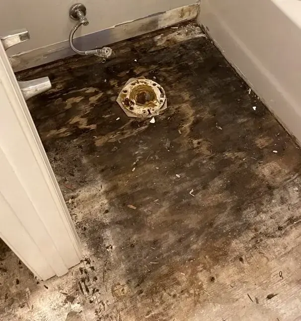 Bathroom floor stained by sewage with the toilet removed and the drain flange exposed, sewage backup cleanup in Goose Creek